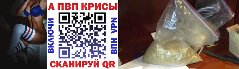 Купить закладки  Буйнакск  Альфа ПВП СК КРИС 