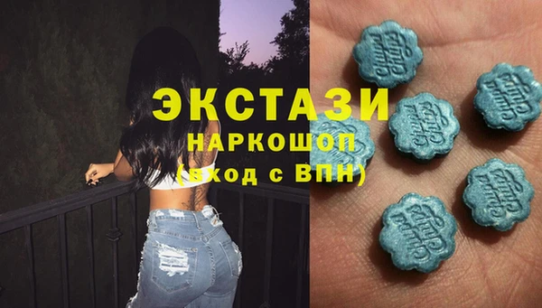 хмурый Гусь-Хрустальный