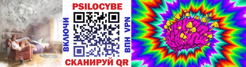 Купить  Буйнакск  Галлюциногенные грибы Psilocybe 